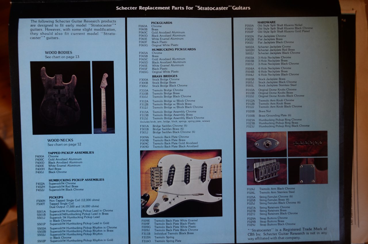 Schecter 04.JPG