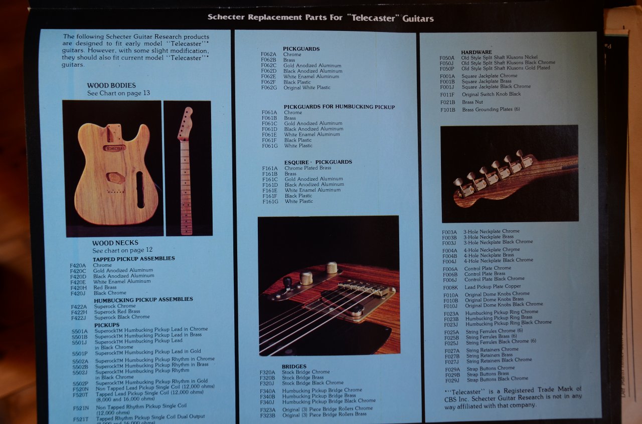 Schecter 06.JPG
