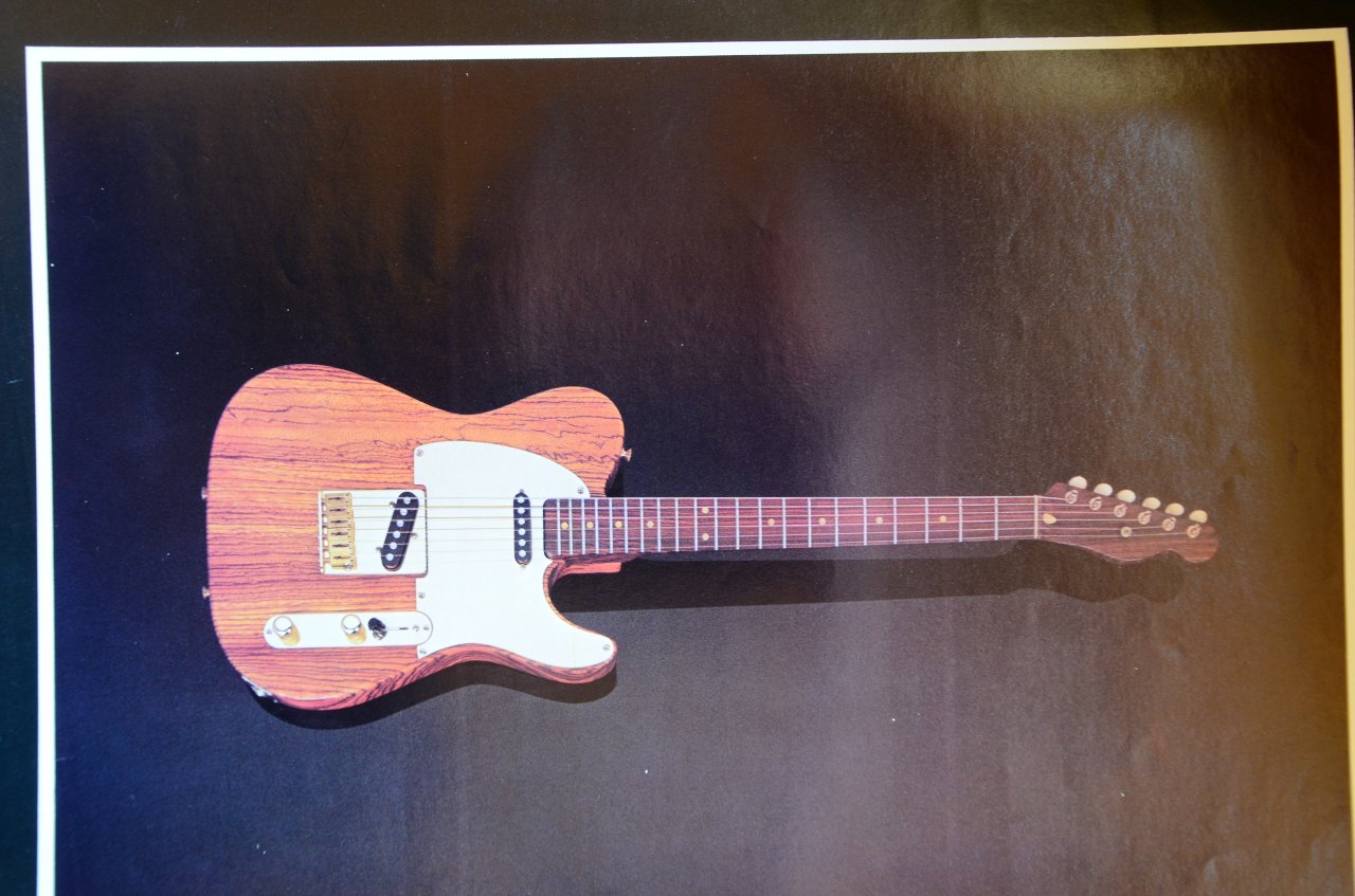 Schecter 07.JPG