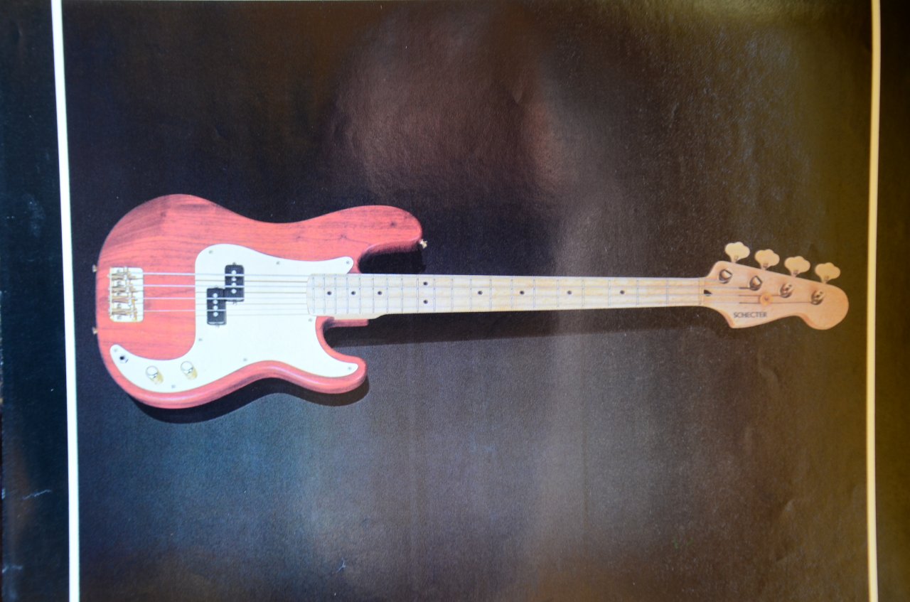 Schecter 09.JPG