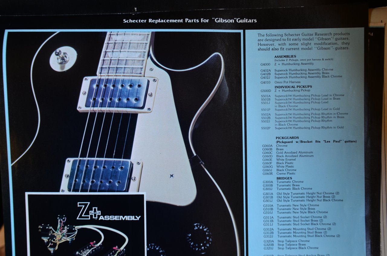Schecter 10.JPG