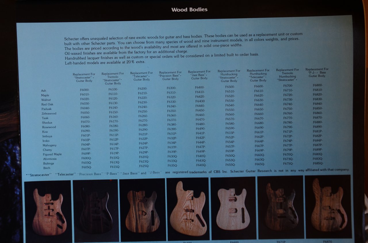 Schecter 12.JPG