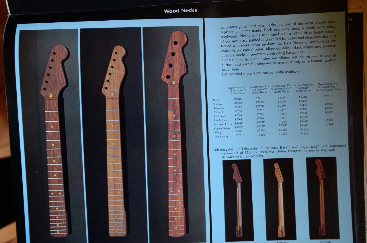 Schecter 13.JPG
