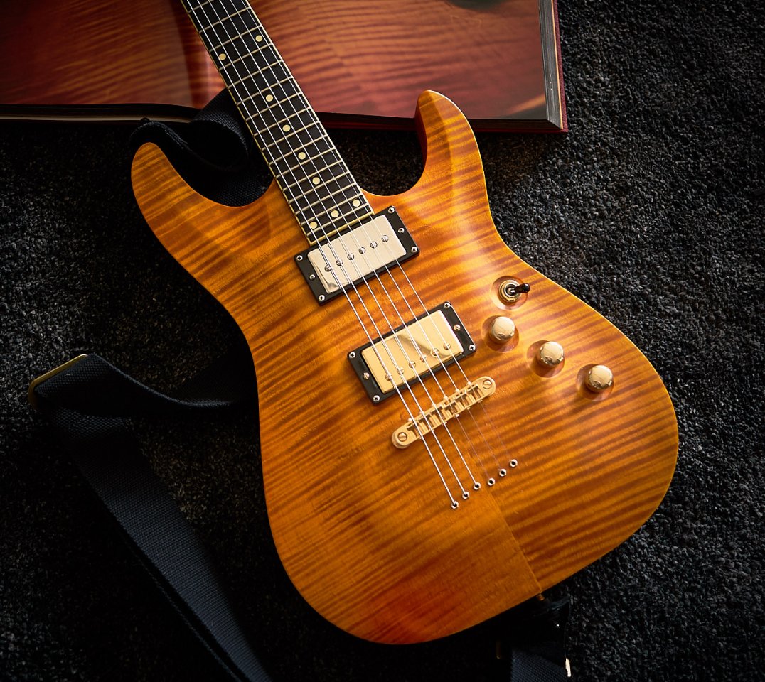 Schecter-Exotic-P90-neck.jpg