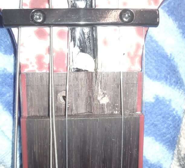 schecter_001.jpg