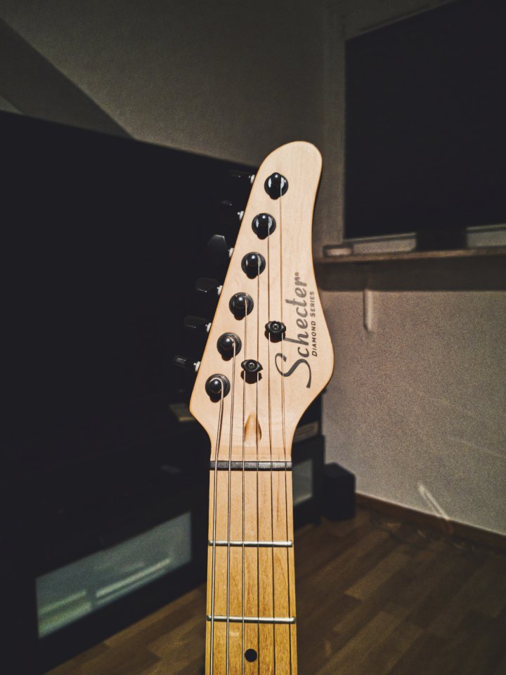 Schecter_4.jpg