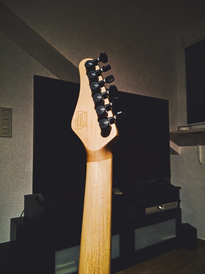 Schecter_5.jpg