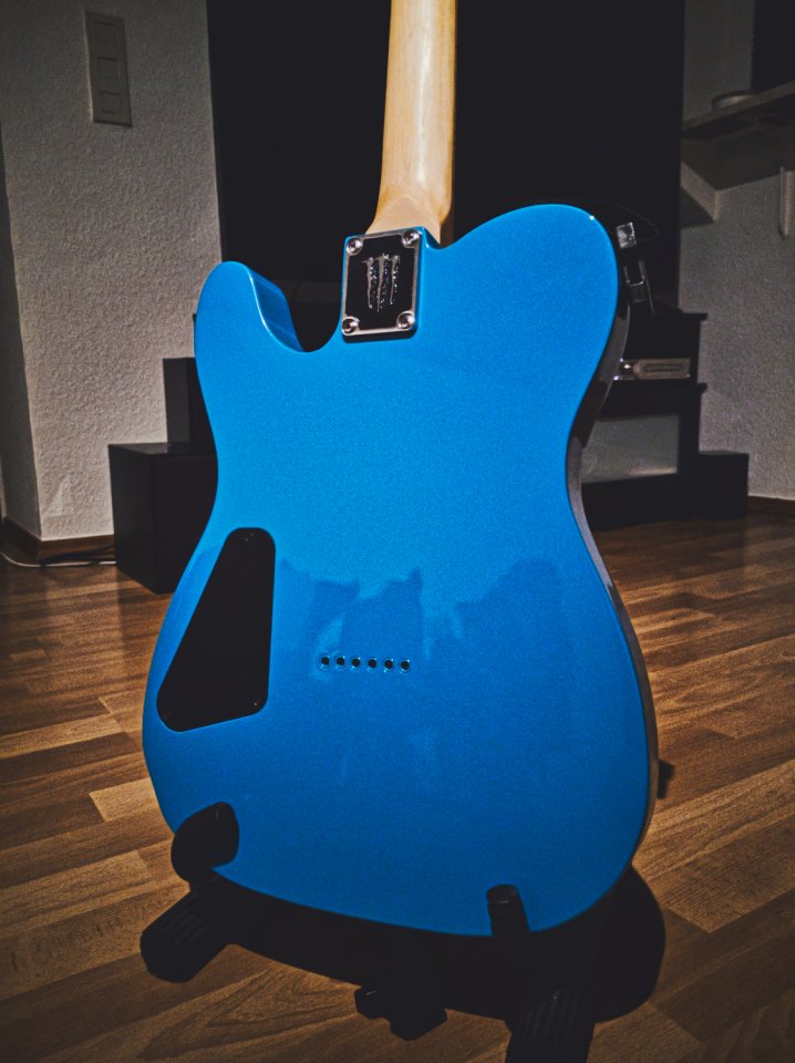 Schecter_6.jpg
