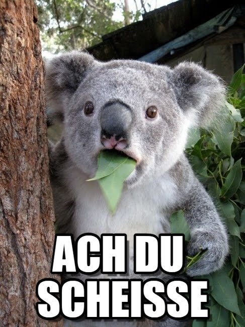 scheisse.jpg