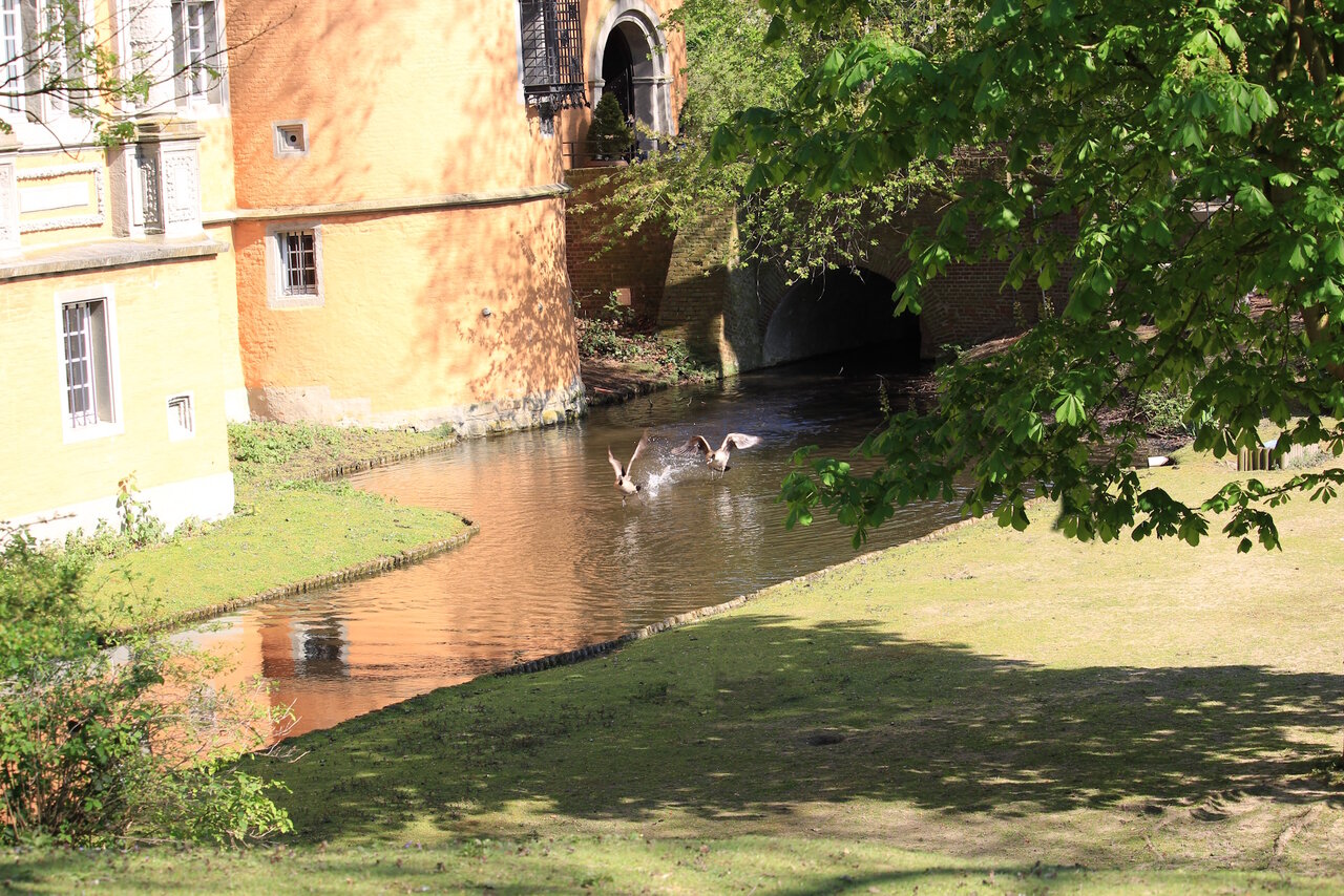 Schloß Reid.jpg