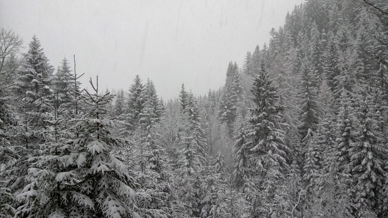 Schnee_02.jpg
