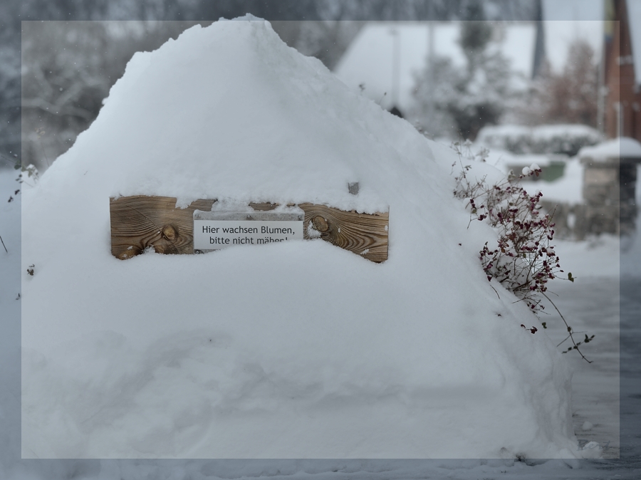 SchneeBerg.jpg