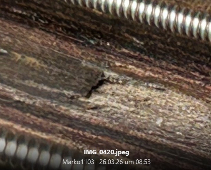 Screenshot 2026-03-26 094118.jpg