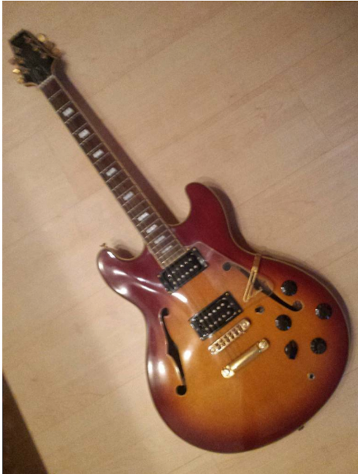 Screenshot_2019-05-18 Aria Pro 2 TA61 Halbakustik Gitarre.png