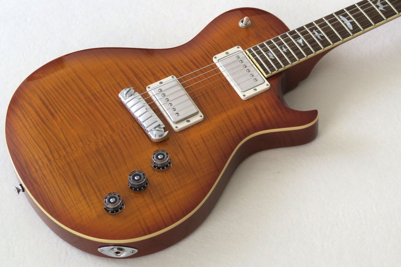 SE Bernie Marsden Body.jpg