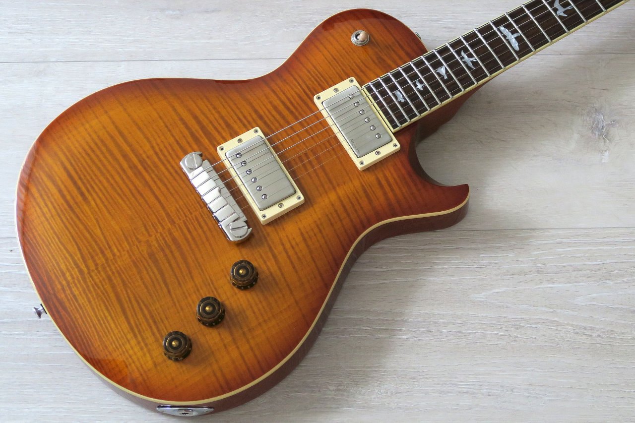 SE Bernie Marsden Body.jpg