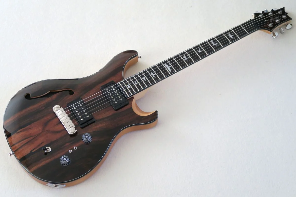 SE Custom 22 SH EB.jpg