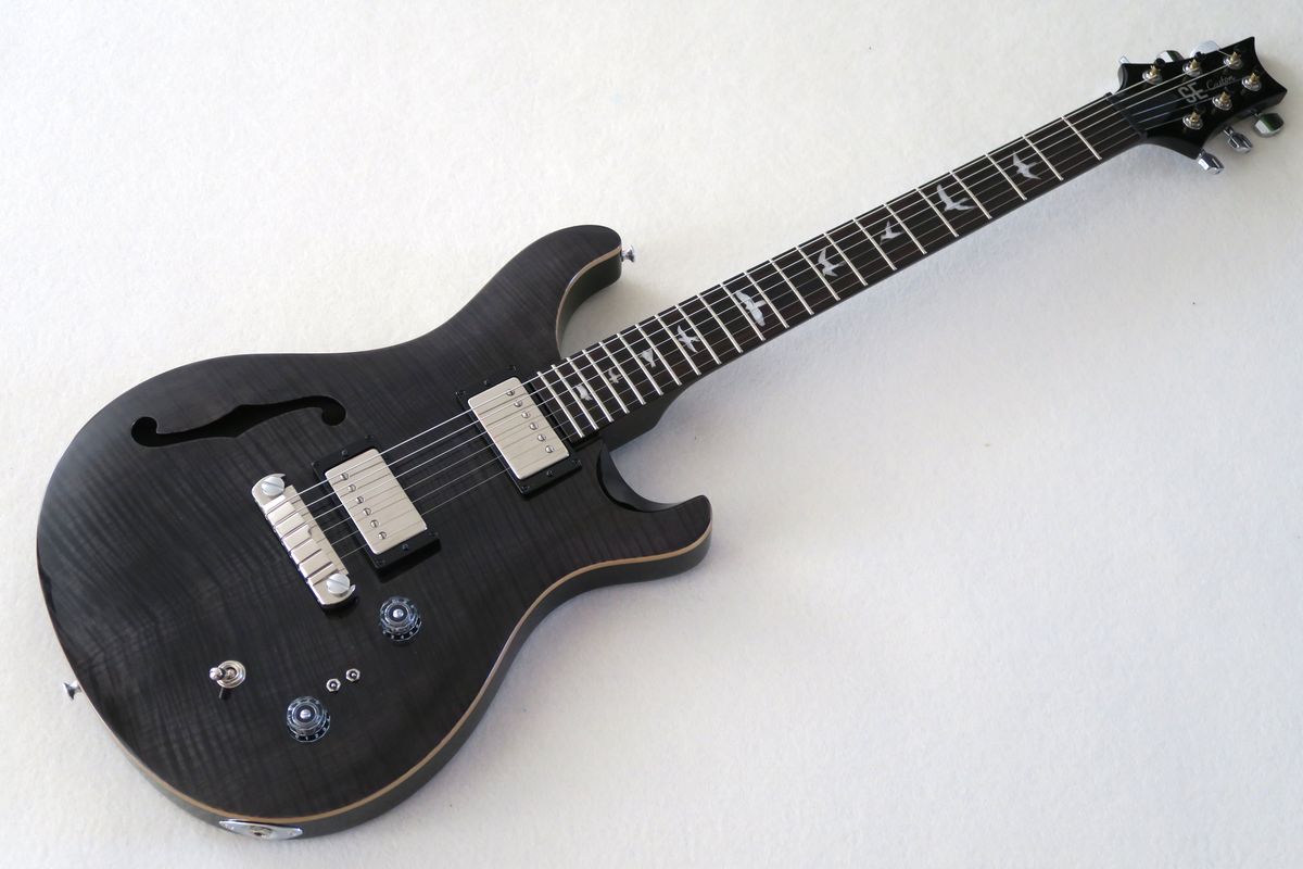 SE Custom 22 SH GB.jpg