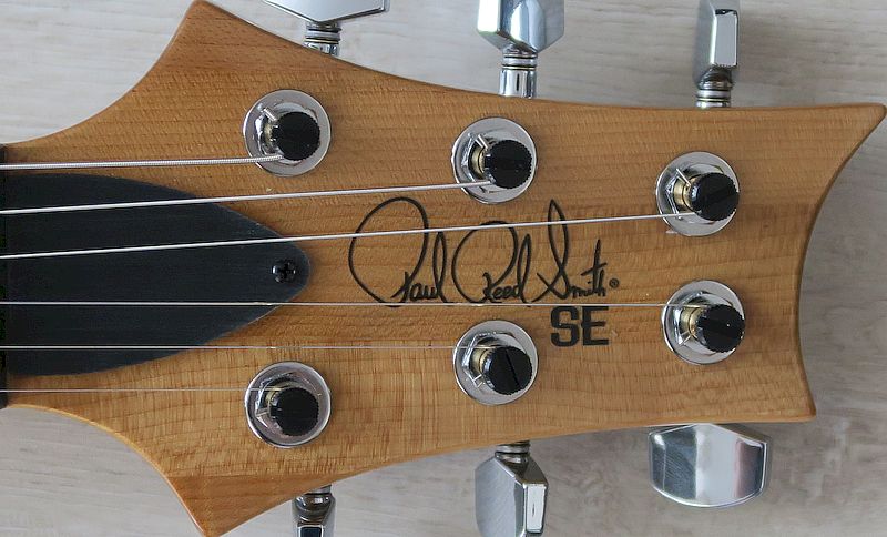SE Custom 24 Headstock.jpg
