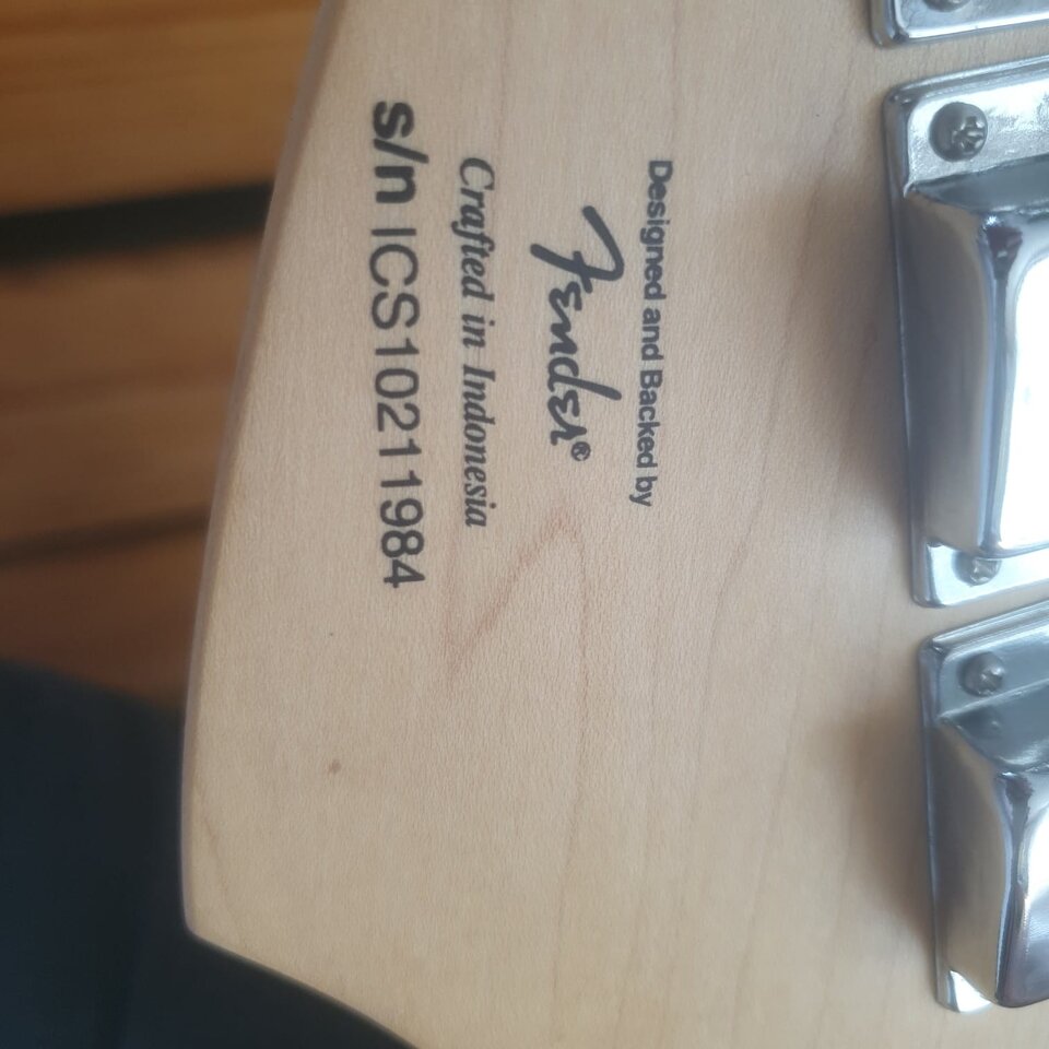 Seriennr. Bass Squier 84.jpg