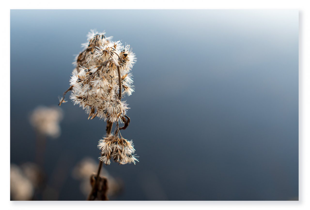 shades-of-blue-1400px.jpg