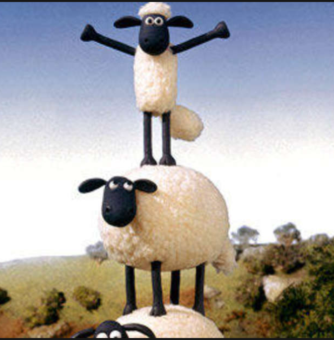 Shaun.png