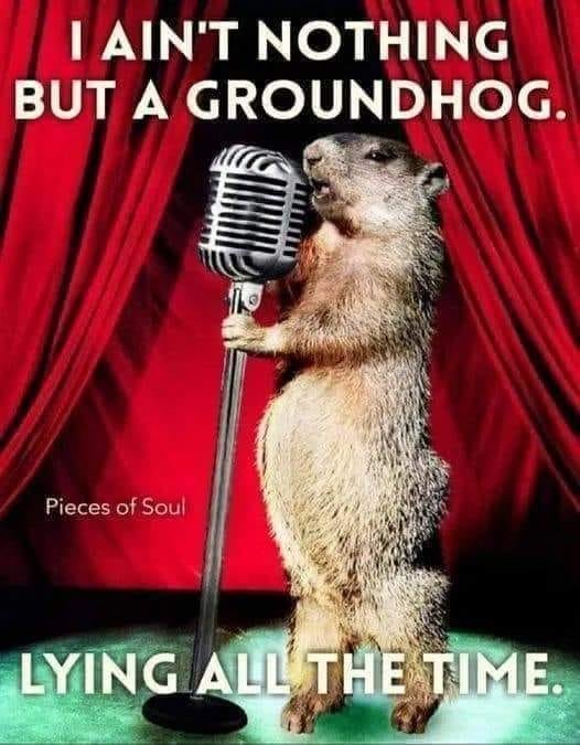 shure55 groundhog.jpg