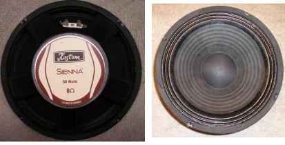 sienna_speaker.webp