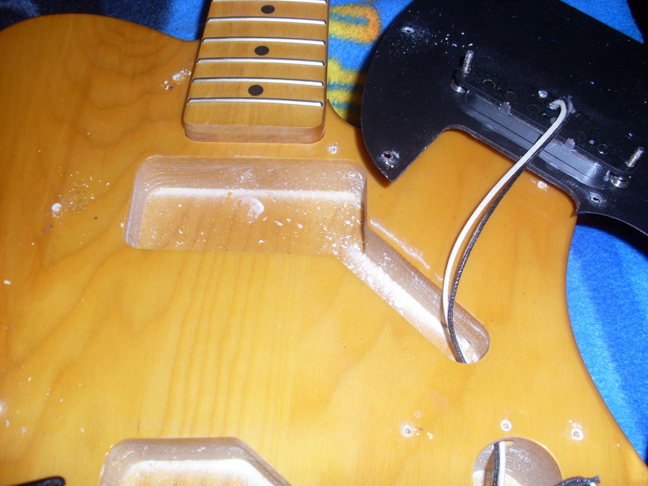SL372728.JPG
