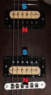 SN.jpg