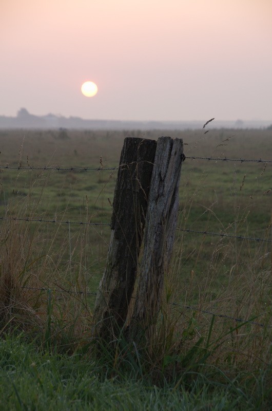Sonnenaufgang.jpg