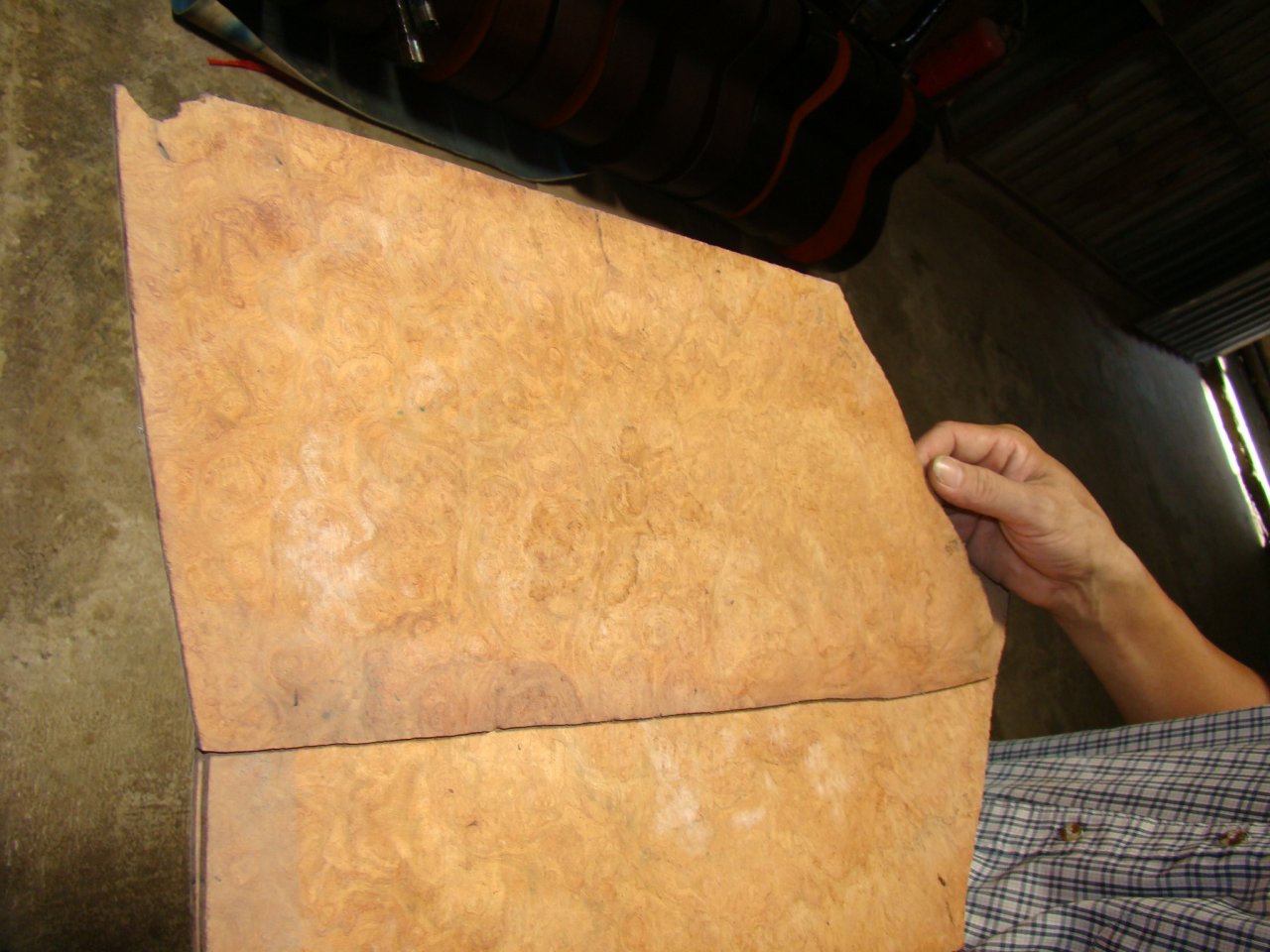 spalted_wood.JPG