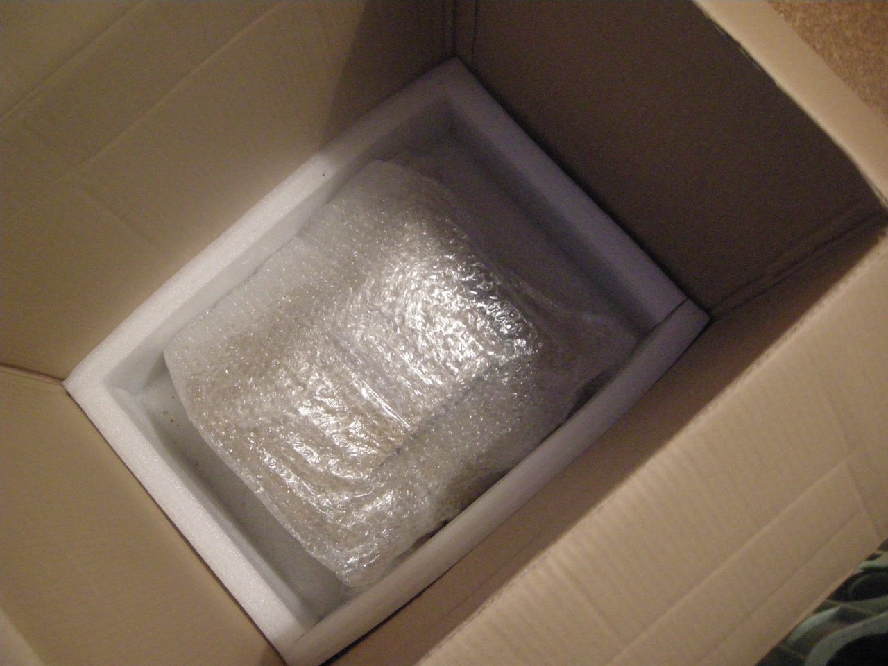 Speaker schicken 11.JPG