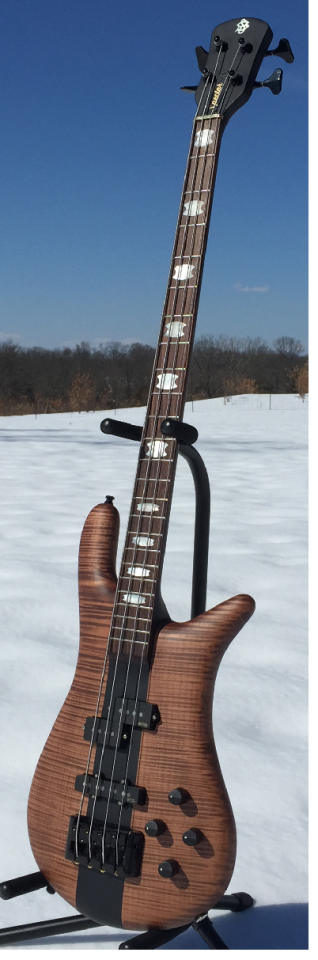 Spector Euro LE.png
