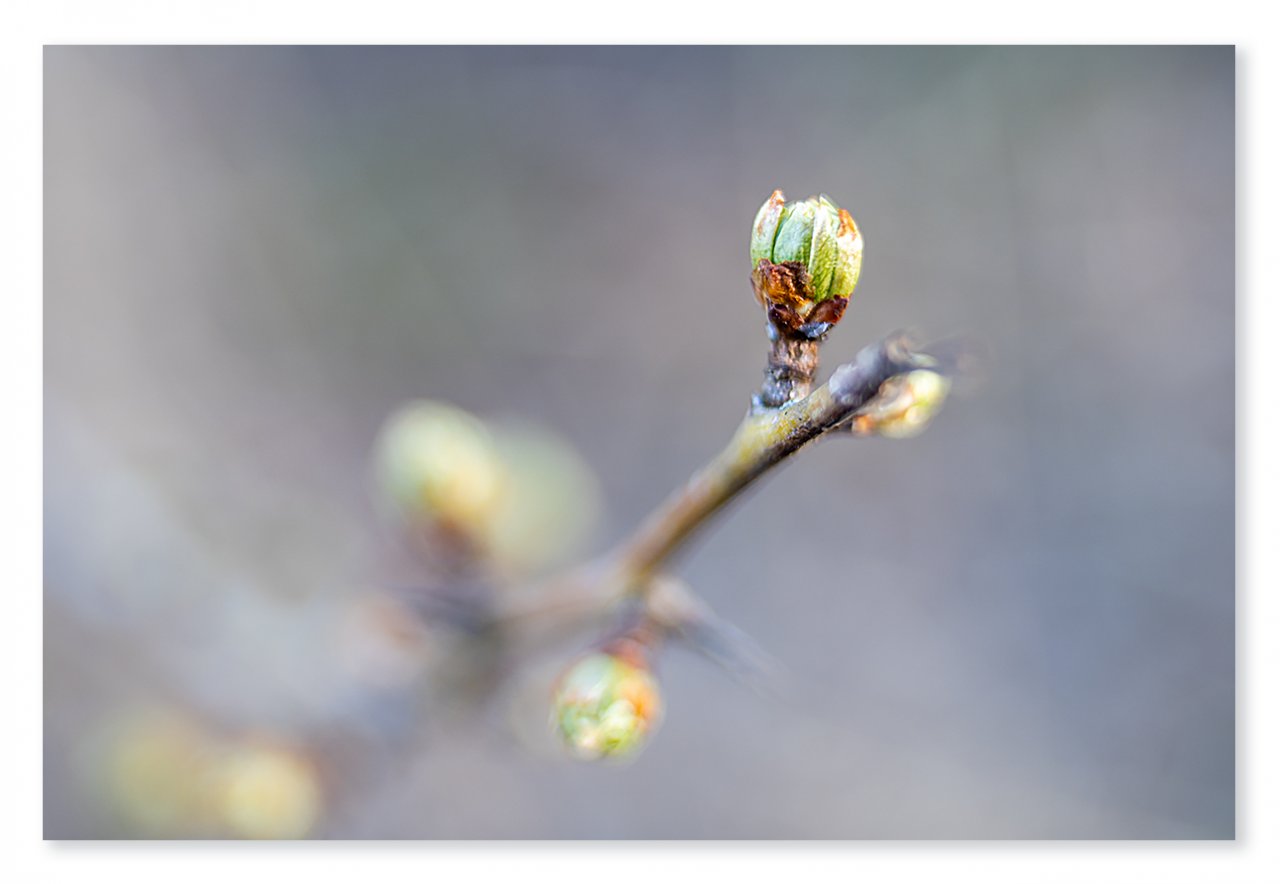 ~spring~.jpg