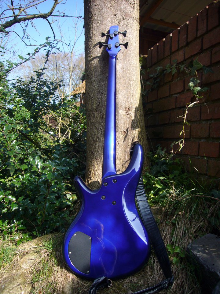 SR800back.JPG