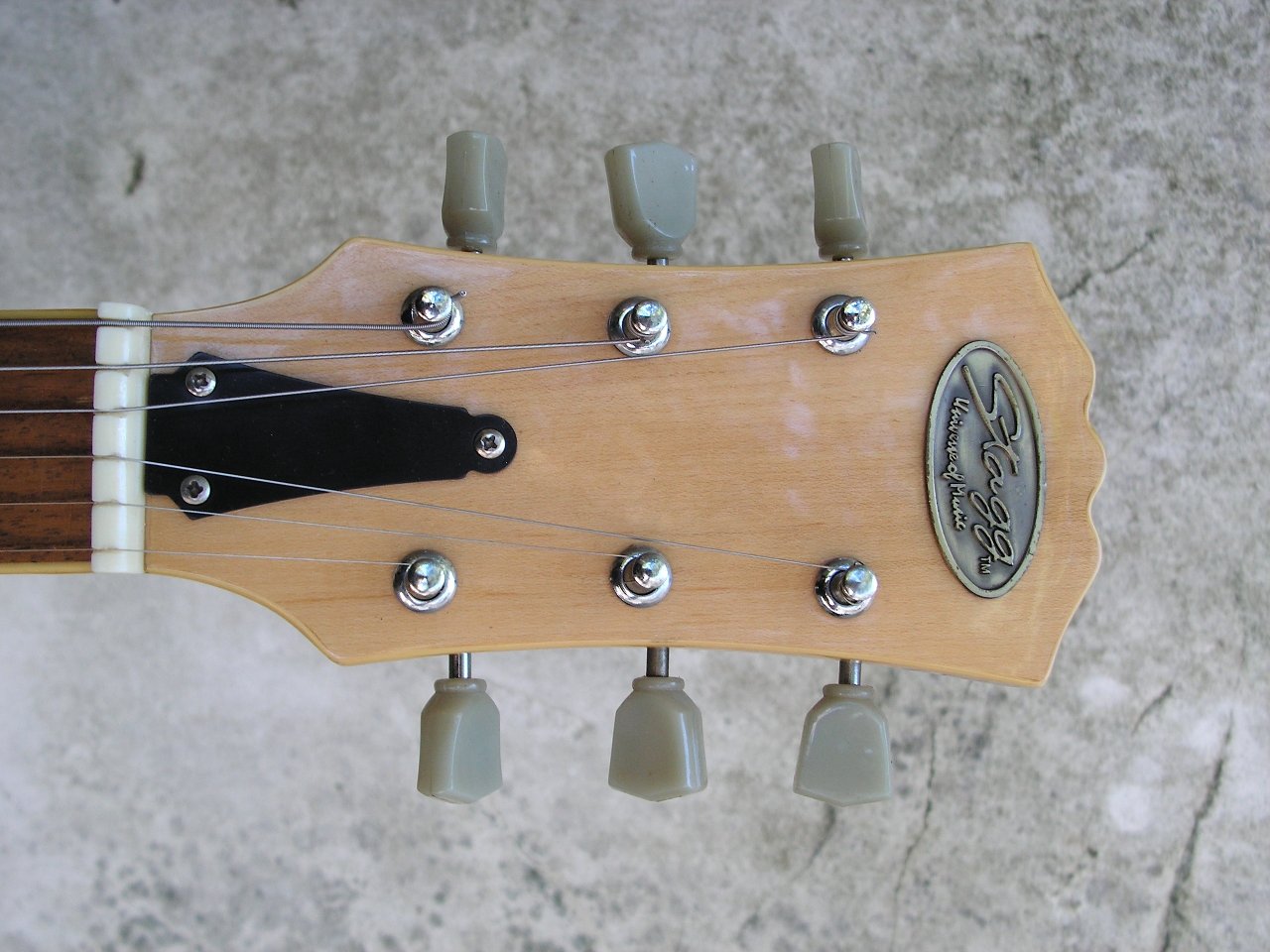 Stagg LP nature head.jpg