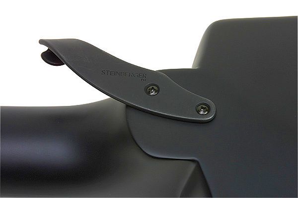 Steinberger03.jpg