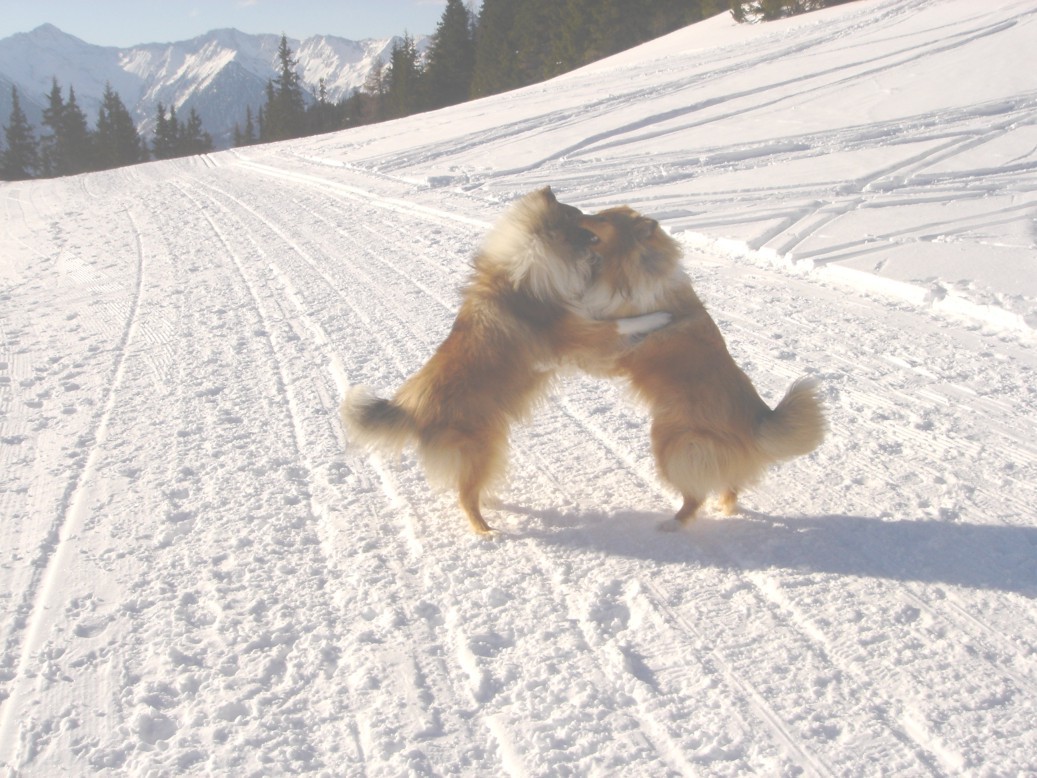Sterzing 5 Snow Waltz.JPG