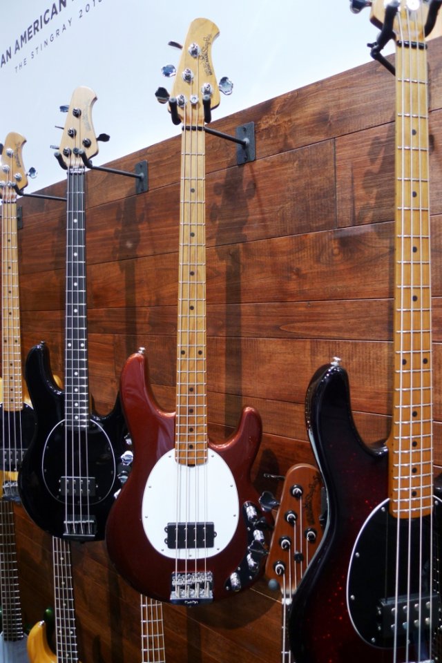 stingray10.JPG