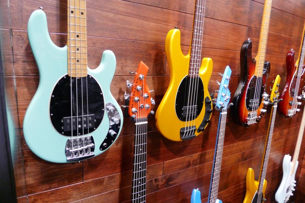 stingray3.JPG