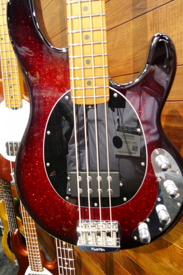 stingray7.JPG
