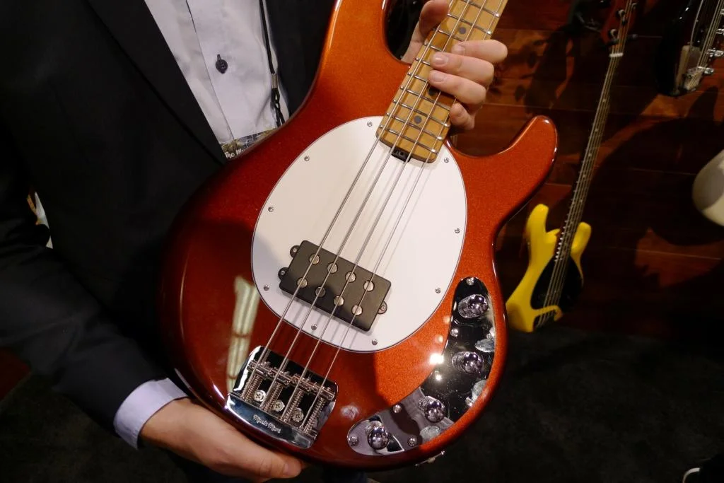 stingray9.webp