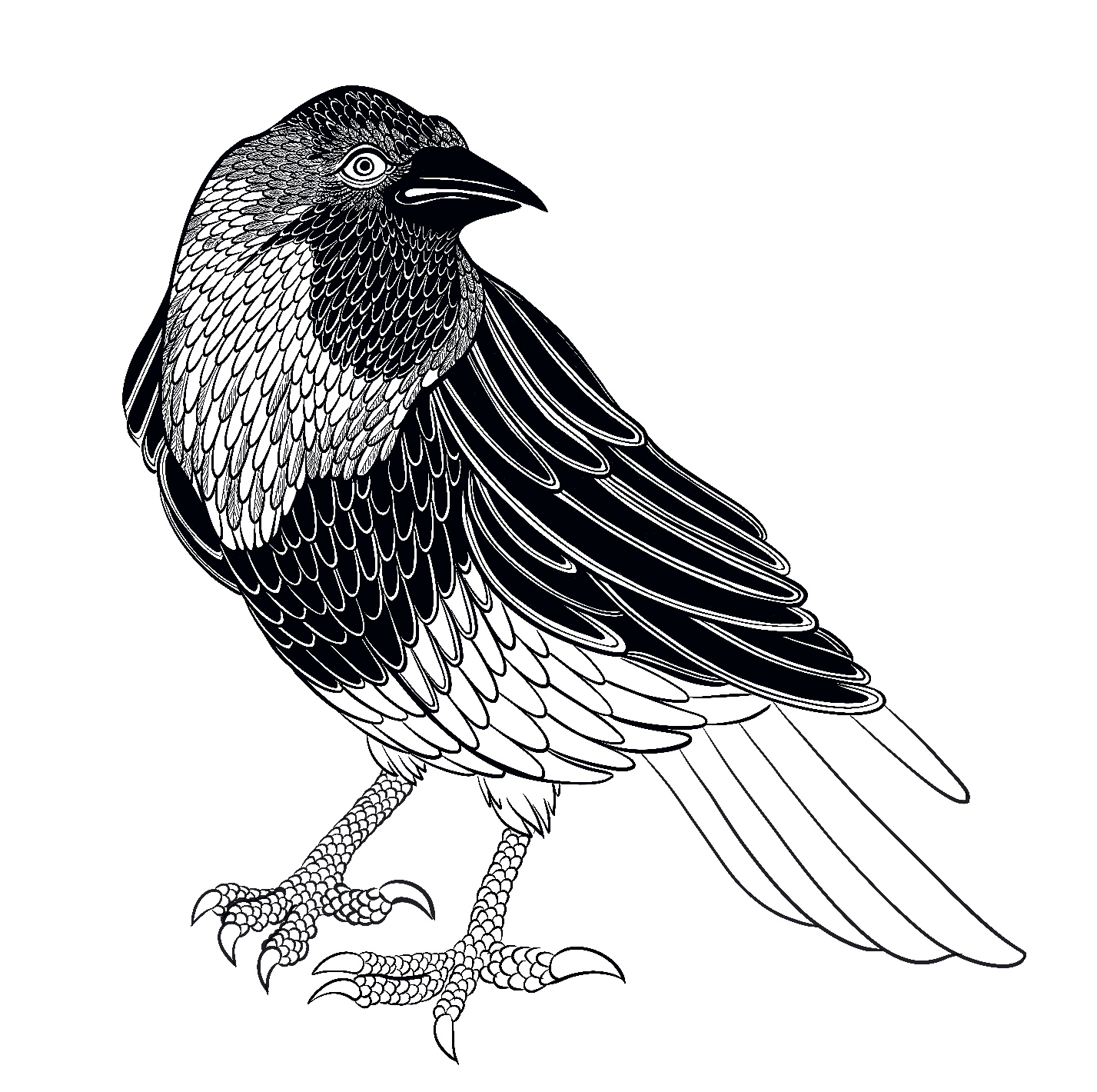 Strange Bird Original .jpg