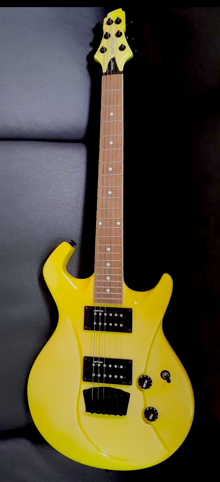 Switch Vibracell Wild IV yellow.jpg