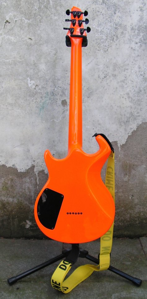 Switch Wild 1 Orange back.jpg