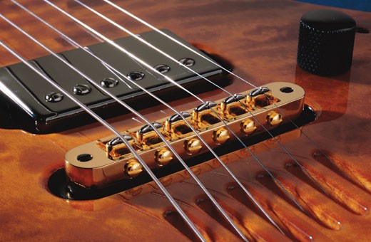 t-bridge-electric-acoustic-guitar-pickup-slide2.jpg