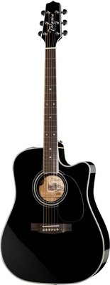 Takamine.jpg