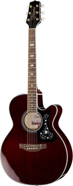 Takamine_800.jpg