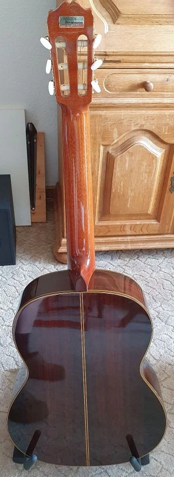 Takamine_back_2.webp